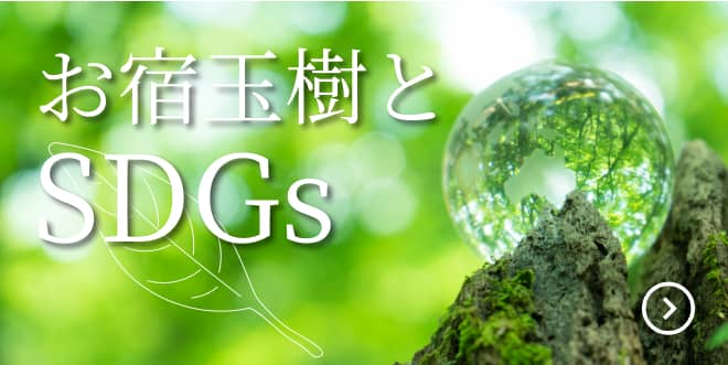 お宿玉樹のSDG's